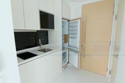 Loft @ Holland (D10), Apartment #482597861